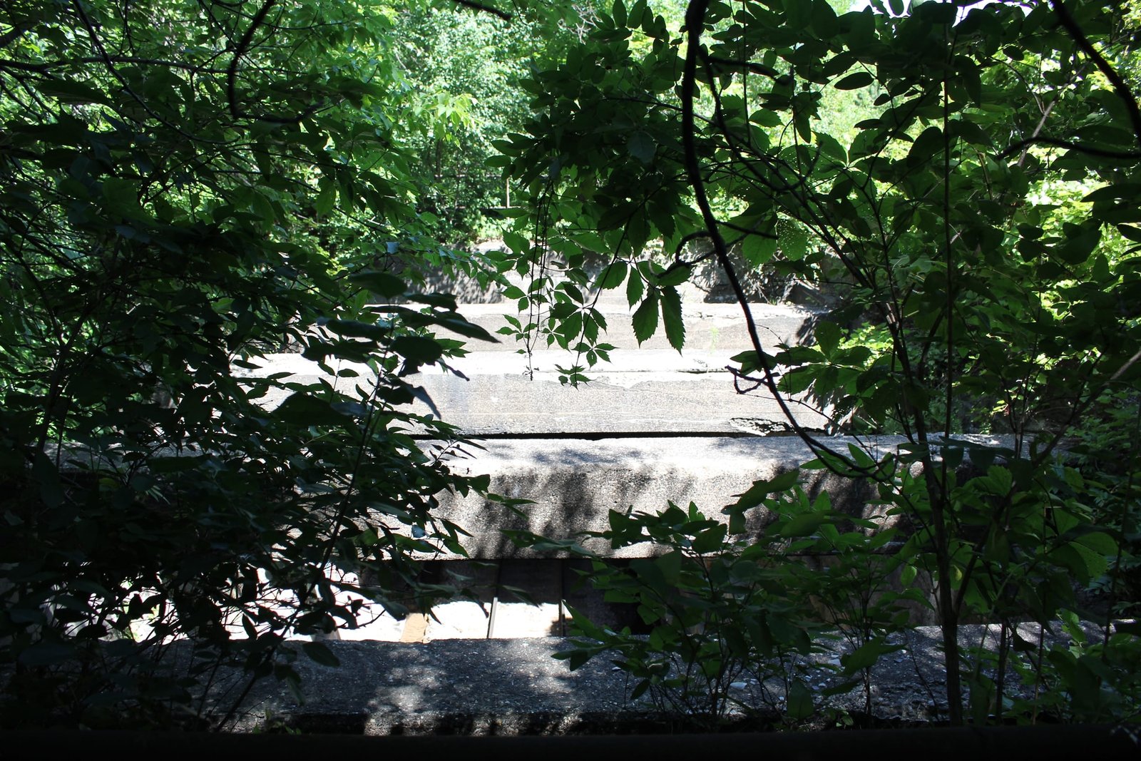 Section with removed roof